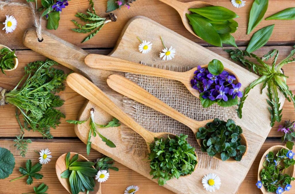 plante comestibile de primăvara